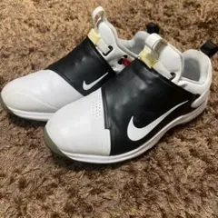 レア商品 NIKE ナイキ ゴルフシューズ B.ケプカモデル