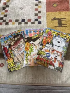 週刊漫画ゴラク　7/4.7/117/18.7/25号 3冊セット