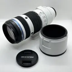 Item thumbnail for item 2974ef6d-fab1-4677-ab58-f0802c3687ae
