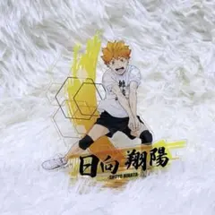 【✨️美品✨️】ハイキュー!! 合同練習会2021 日向翔陽　アクリルスタンド