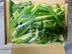 Item thumbnail for item 4d8e2fd2-4f95-4ebc-8445-50263a51deef