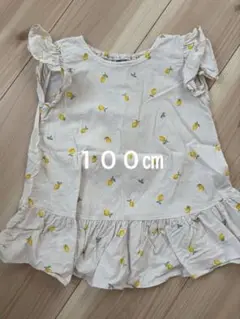 Item thumbnail for item 1ecf05f0-f3a9-4a6f-b053-758e3e0fd6c3