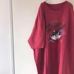 USA購入 Tシャツ オーバーサイズ dave matthews band