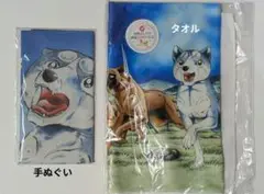 高橋よしひろ直筆サイン　イラストカード　A4サイズ　サイン会 2025年最新】高橋よしひろ サインの人気アイテム - メルカリ