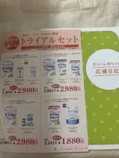 ビーンスターク　トライアルセットチラシ&育児日記