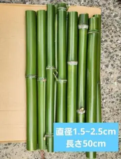 真竹 夏休み 自由研究 50cm 12本 細め 天然青竹 工作素材 農薬不使用