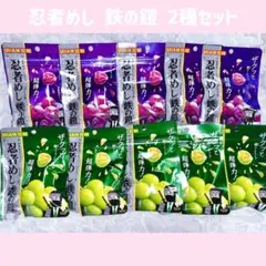 UHA味覚糖 忍者めし 鉄の鎧 グレープ マスカット 10個セット