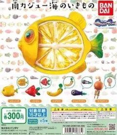 3個セット　南カジュー海のいきもの　レモンハギ　イチギョ　バナワナ