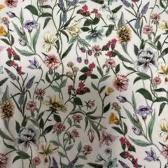 リバティはぎれメグミ