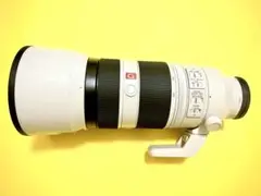 2025年最新】SEL100400GMの人気アイテム - メルカリ