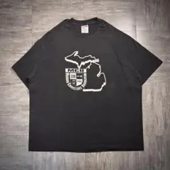 【90's】USA製 Hanes アートtシャツ　シングルステッチ　2XLサイズ