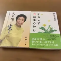 天の懐に生く かならず春は来るから　著者: 東城百合子