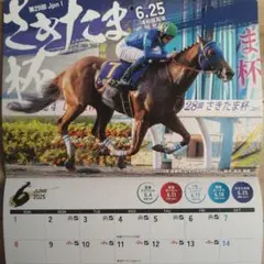 地方競馬 2025 南関東4競馬場カレンダー