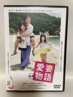 愛妻物語 DVD 濱田岳 水川あさみ