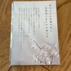 喪中はがき（年賀状じまい文章）私製 20枚入り 詳細記入不要