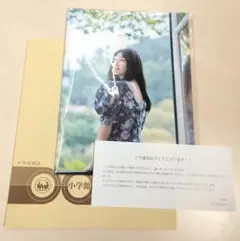 Item thumbnail for item 45f31d39-190c-4641-bd03-14afadec99d5