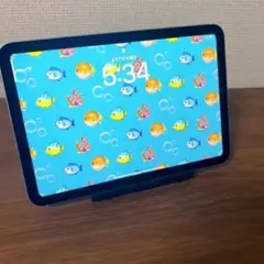 美品iPad mini（A17 Pro） + CellularBT100%