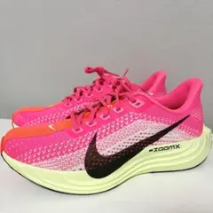 【新品未使用】NIKE PEGASUS ナイキ ペガサスプラス　24.5cm