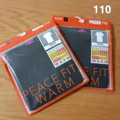 Item thumbnail for item e2c517ba-c293-4660-b77a-95d09717dae8