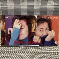 中山美穂&WANDS/世界中の誰よりきっと