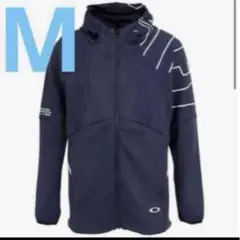 Item thumbnail for item 4ad98b3c-219f-4809-94d7-bb644cc6d900