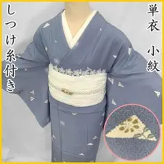 507mk27〇単衣 小紋 居敷当て付き 鱗文 小花 丸文〇しつけ付き美品