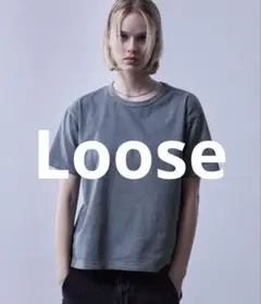 ルース　スリムフィット コンパクトショートTシャツ メンズ レディース