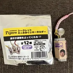 阪神タイガース シークレット ミニおみくじキーホルダー 岩崎優•岩崎•13