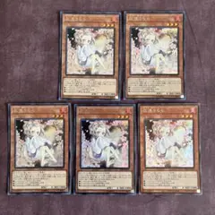 遊戯王　灰流うらら　5枚セット