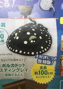 キョーリン　BIGコリドラスぬいぐるみ 約８０cm Amazon.co.jp: キョーリン Hikari 巨大コリドラス ぬいぐるみ 超