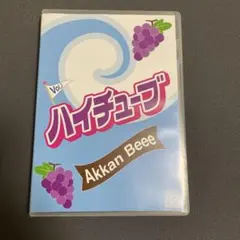 サーフィンDVDハイチューブ vol3