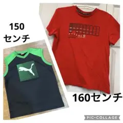 PUMA プーマ　160センチ　Tシャツ＆150センチ　ノースリーブ