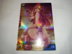 アーセナルベース サマーFESTIVAL2025 PR　ミーア・キャンベル
