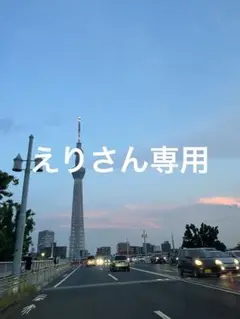 えりさん専用