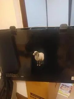 Item thumbnail for item 4aa0785f-c000-4ae9-b9fe-e8a857dd593d