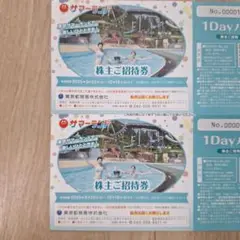 東京サマーランド 株主ご招待券 2枚