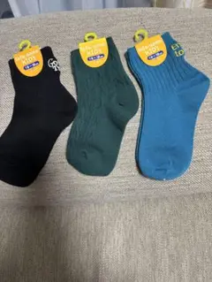 Item thumbnail for item d6a49887-cc60-450d-b6c9-80298e22f326