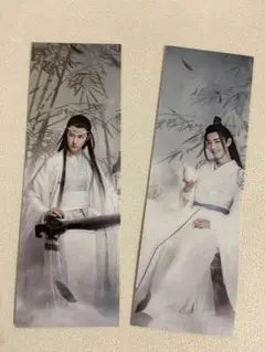 希少 陳情令　肖戰 王一博 特典ブックマーク2枚