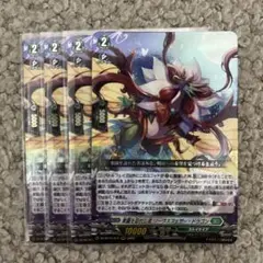 竜魂鳴導/楽園を訪れし者 リーヴスフェザー・ドラゴン/４枚　12