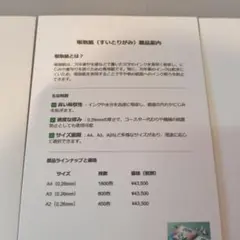 吸取紙