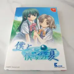 僕と僕らの夏