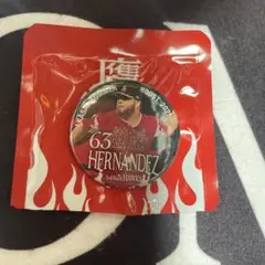 福岡ソフトバンクホークス　缶バッジ　ヘルナンデス