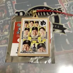 常熱かるたキーホルダー 古田島成龍