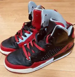 NIKE ナイキ AIR JORDAN 24.5cm ✳️ 1点限り‼️ビンテージ