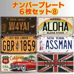 8【6枚セット】アメリカン ナンバープレート ブリキ看板 USA風 ディスプレイ