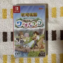 Welcome! ワンダフルライフ (Nintendo Switch)