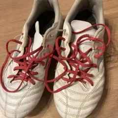 Mizuno モナルシーダネオ スパイク