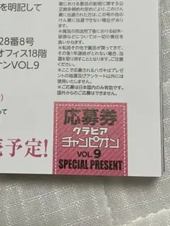 グラビアチャンピオン vol.9 応募券 2枚