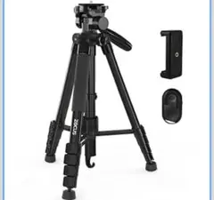 Item thumbnail for item 0a80b819-1daf-4852-bc4a-88c8cf38cfbf