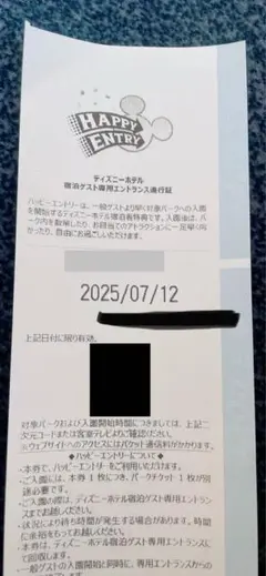 ハッピーエントリー　2024/11/26 2025年最新】ハッピーエントリー ディズニーシー 11/2の人気